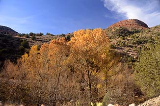 Verde Canyon Railroad, November 29, 2012